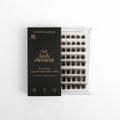 Bold Allure - Full Volume Lash Tray