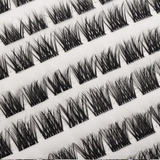 Hybrid Radiance - Hybrid Lash Tray